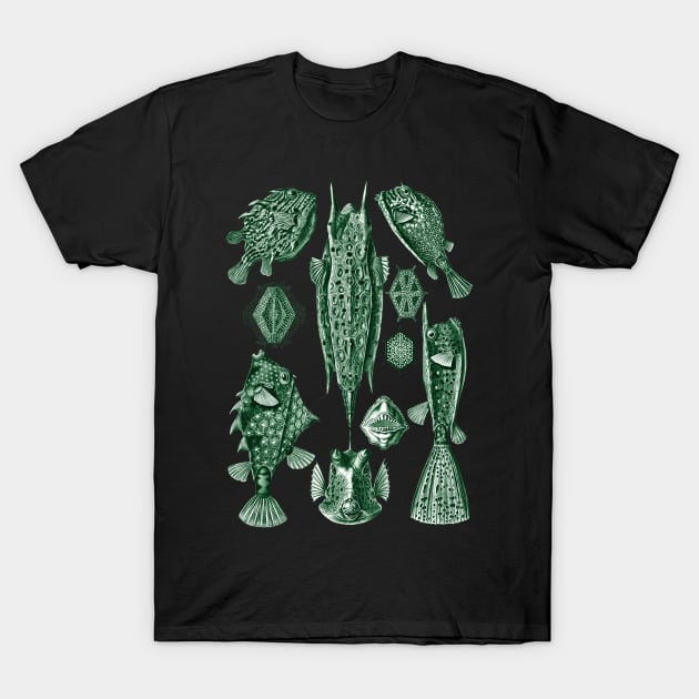 Ernst Haeckel Ostraciontes Fish Green T-Shirt by Scientistudio